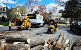 Spirit Lake, IA Tree Removal Services Company