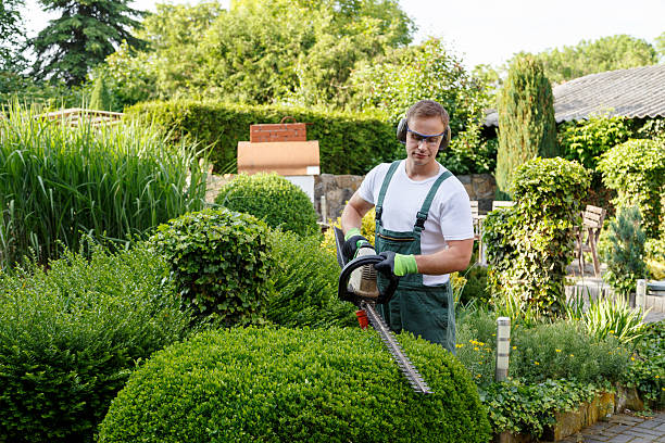 Best Residential Tree Removal  in Spirit Lake, IA